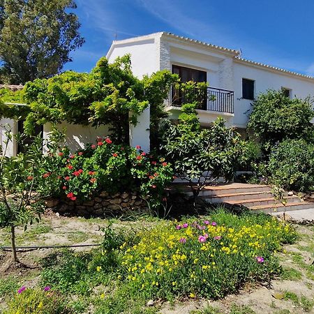 Cortijo Nerja Artist Paradise 外观 照片