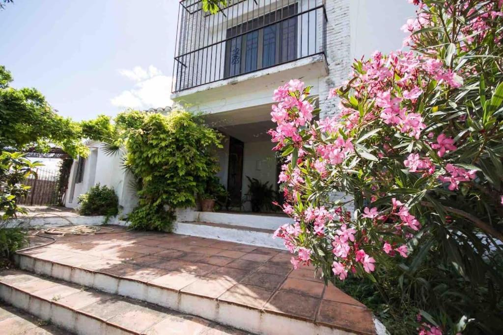 Cortijo Nerja Artist Paradise 外观 照片