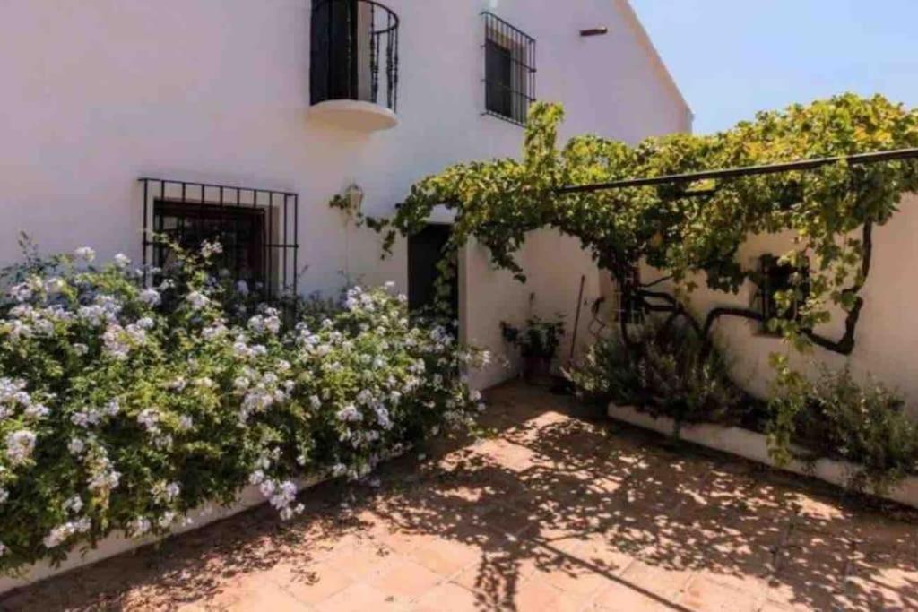 Cortijo Nerja Artist Paradise 外观 照片
