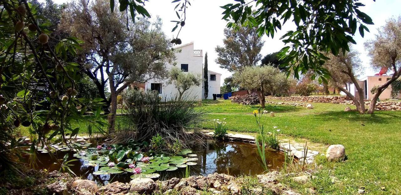 Cortijo Nerja Artist Paradise 外观 照片