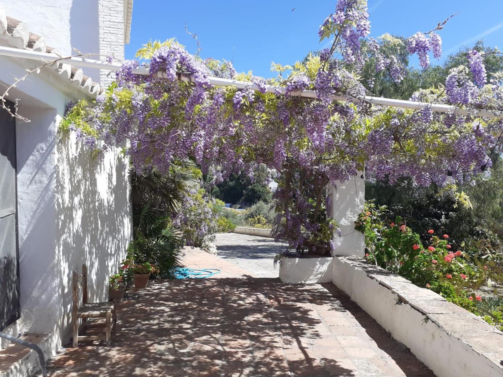 Cortijo Nerja Artist Paradise 外观 照片