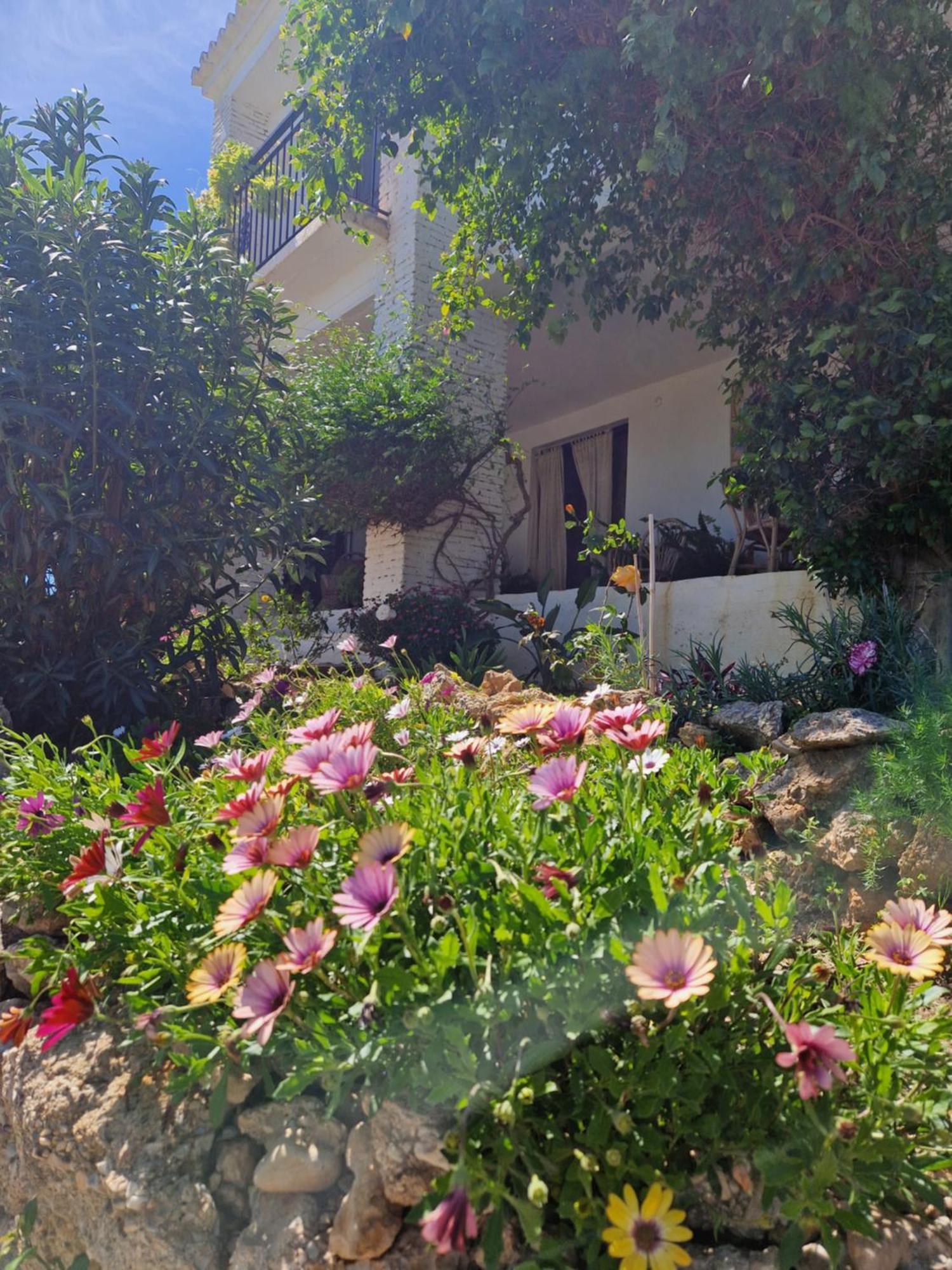 Cortijo Nerja Artist Paradise 外观 照片