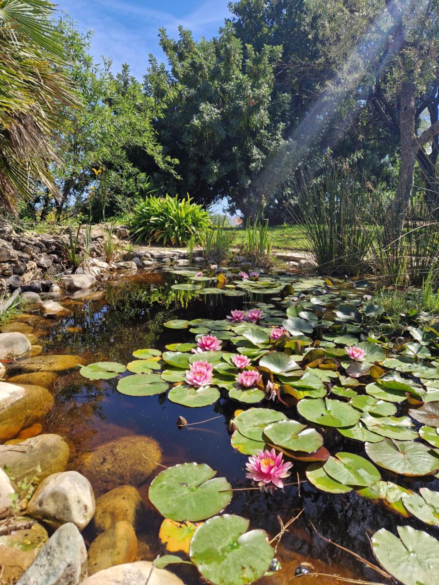 Cortijo Nerja Artist Paradise 外观 照片